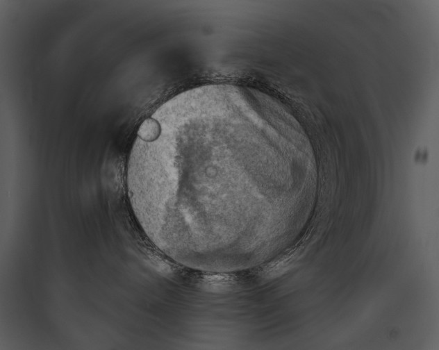 X0000089920240200707131417