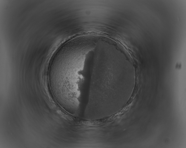 X0000089920241200707131417