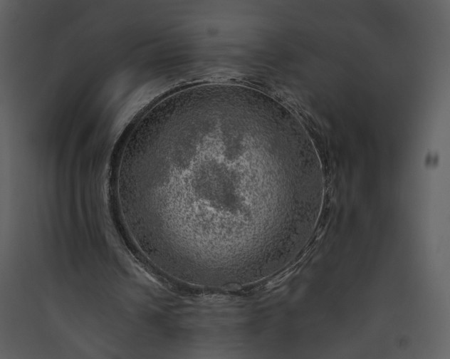 X0000089920242200707131417
