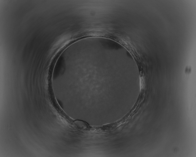 X0000089920243200707131417