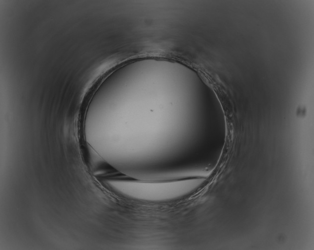 X0000089920244200707131417