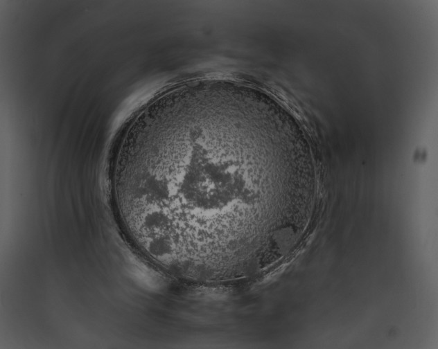X0000089920245200707131417