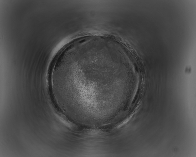 X0000089920246200707131417