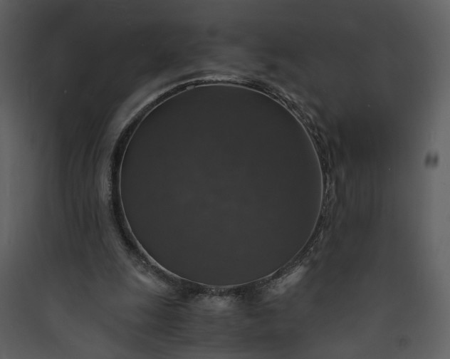 X0000089920247200707131417