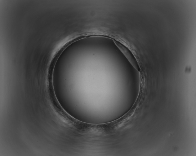 X0000089920248200707131417