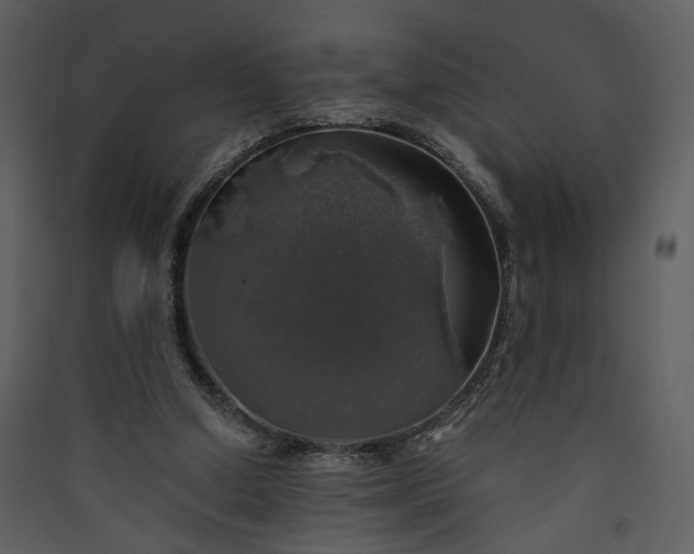 X0000089920250200707131417
