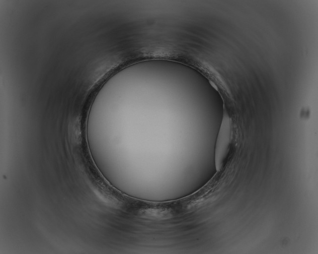 X0000089920251200707131417