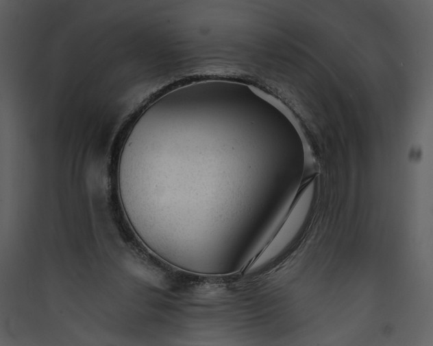 X0000089920252200707131417