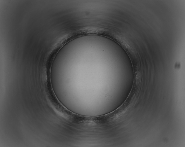 X0000089920254200707131417