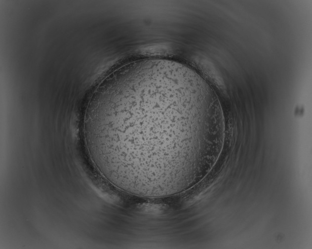 X0000089920255200707131417