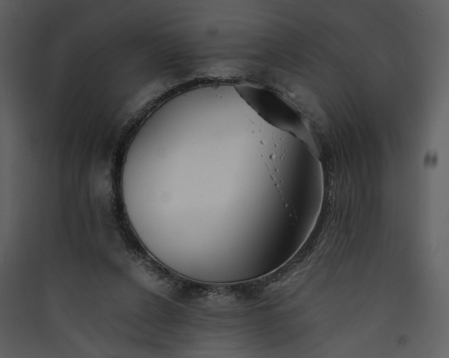 X0000089920256200707131417