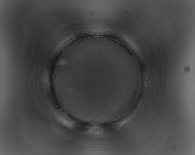 X0000089920258200707131417