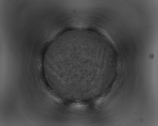 X0000089920259200707131417