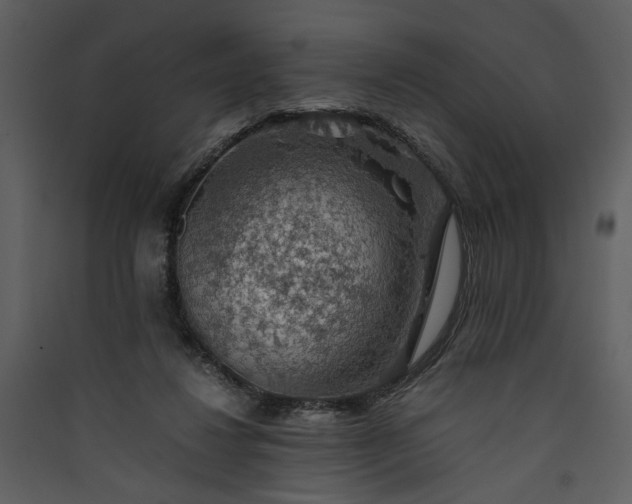 X0000089920260200707131417