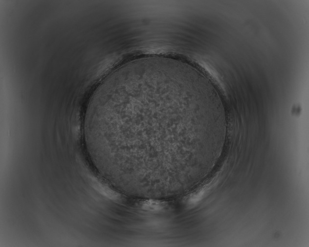 X0000089920261200707131417