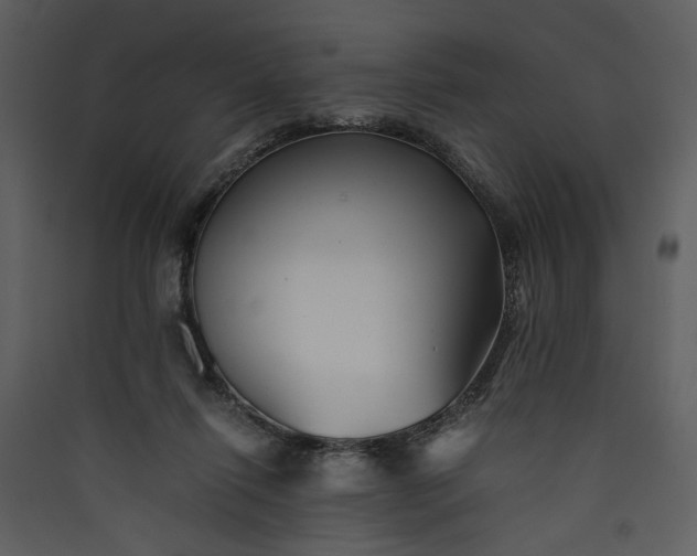 X0000089920262200707131417