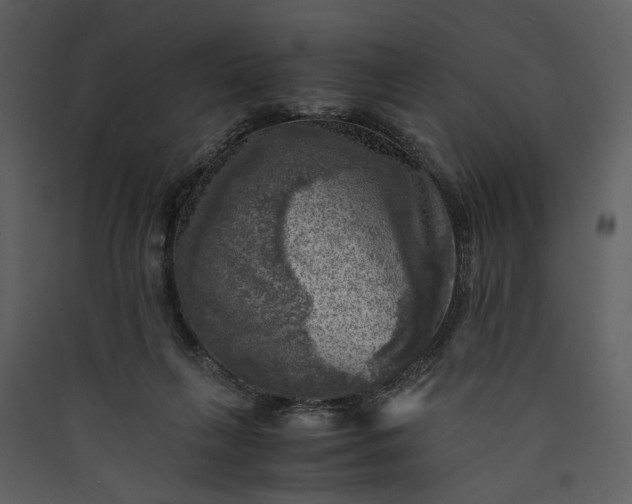 X0000089920263200707131417
