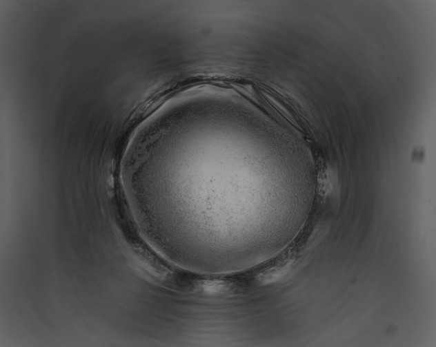 X0000089920264200707131417