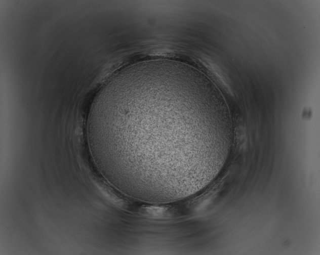 X0000089920265200707131417