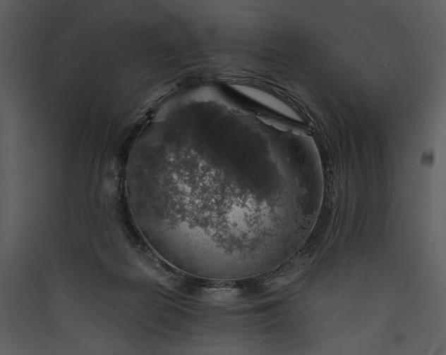 X0000089920266200707131417