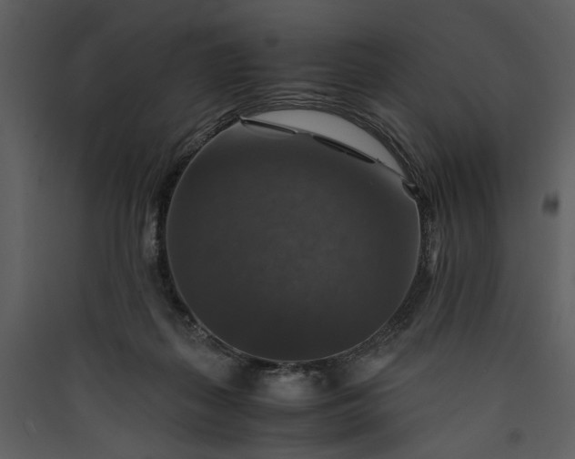 X0000089920267200707131417