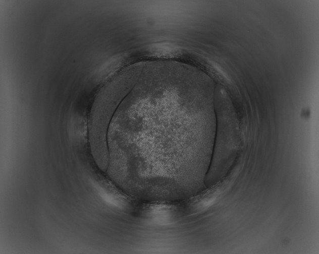 X0000089920268200707131417