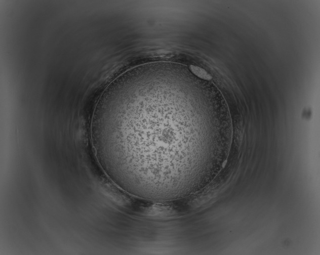 X0000089920270200707131417