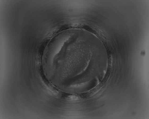 X0000089920272200707131417