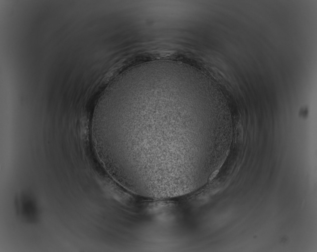 X0000089920274200707131417