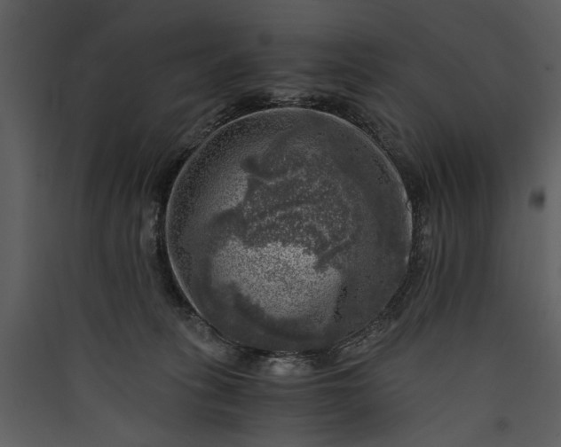 X0000089920275200707131417