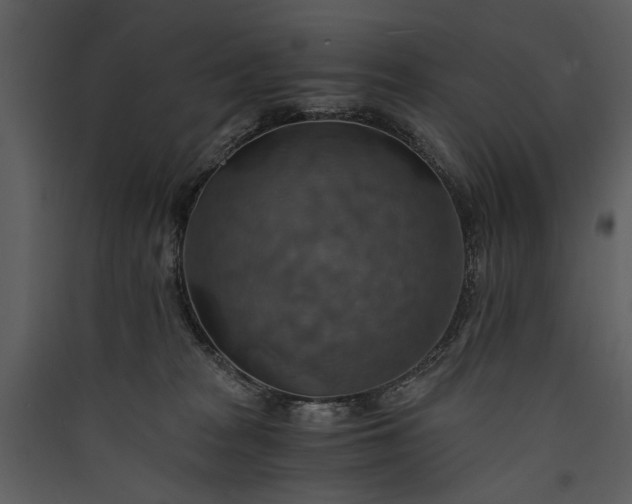 X0000089920277200707131417