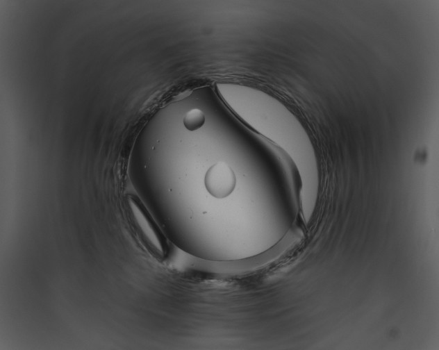 X0000089920280200707131417