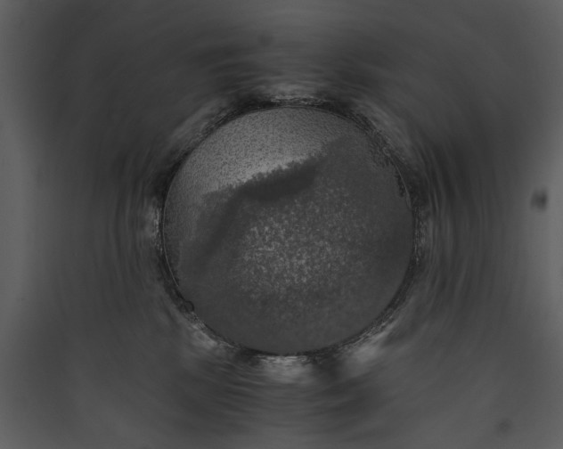 X0000089920281200707131417