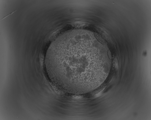 X0000089920283200707131417
