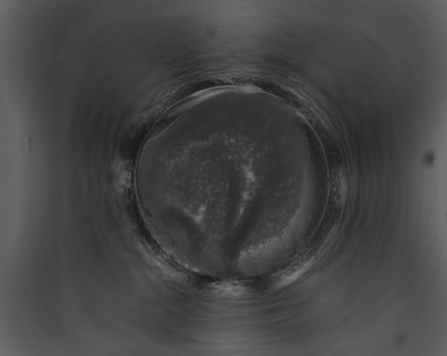 X0000089920284200707131417