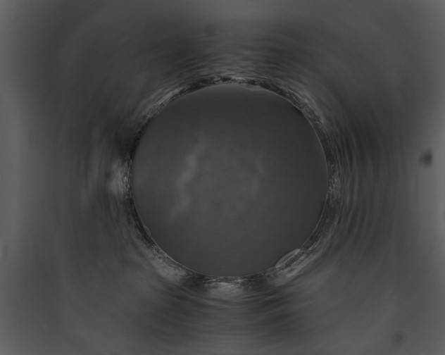 X0000089920285200707131417