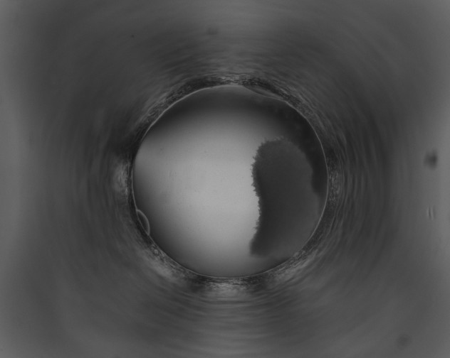 X0000089920286200707131417