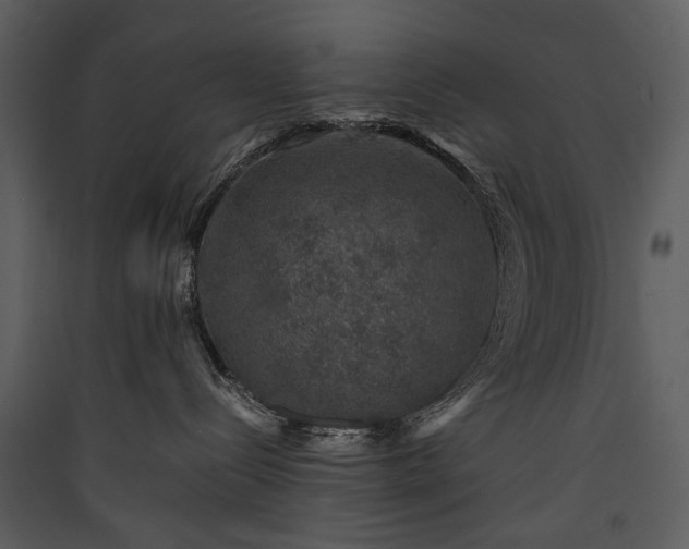 X0000089920288200707131417