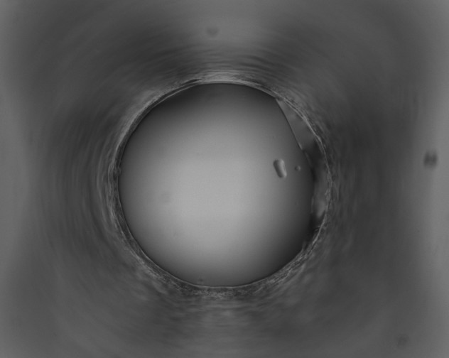 X0000089920289200707131417