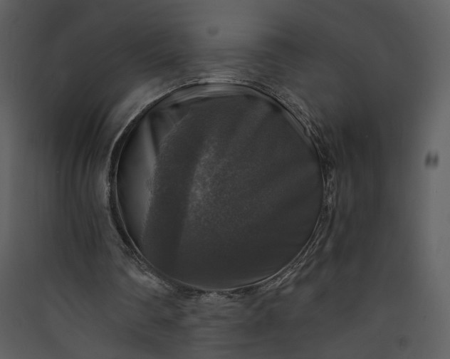 X0000089920290200707131416