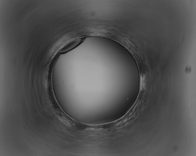 X0000089920291200707131416