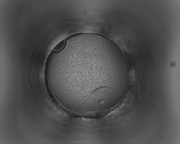 X0000089920292200707131416