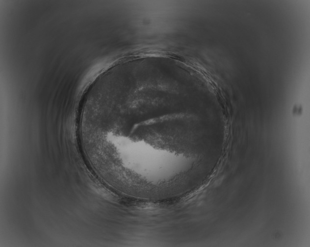 X0000089920293200707131416