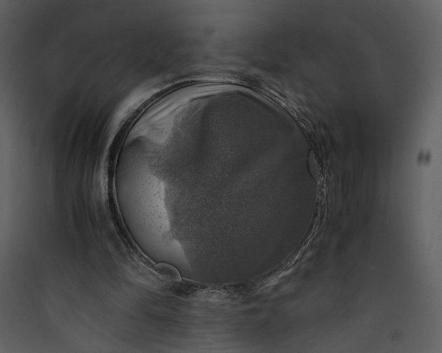 X0000089920294200707131416