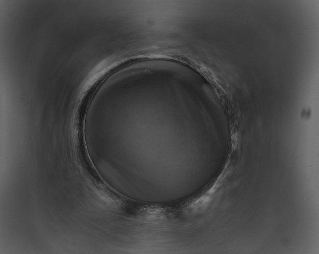 X0000089920295200707131416