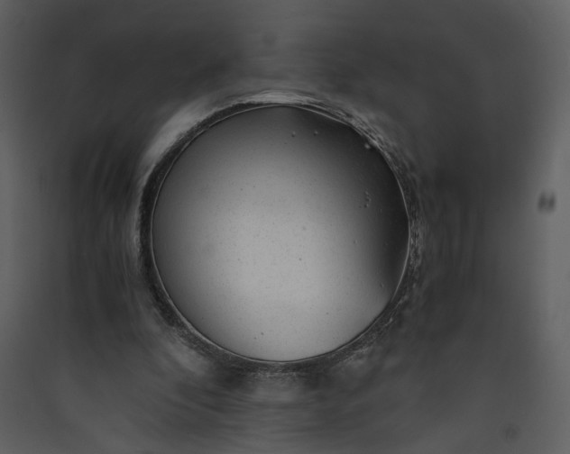 X0000089920296200707131416