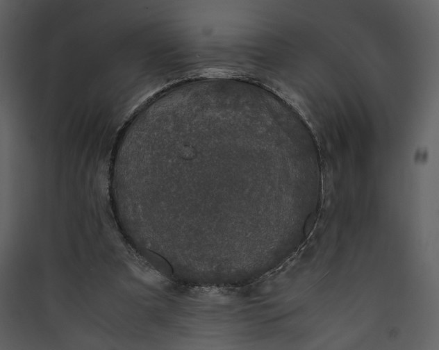 X0000089920297200707131416