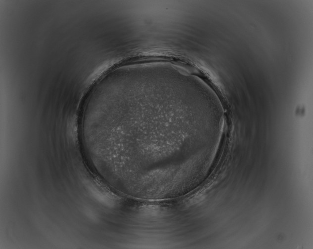 X0000089920298200707131416