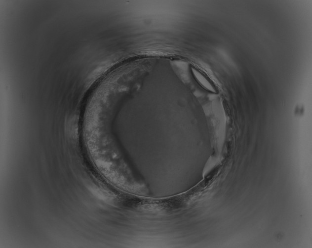 X0000089920299200707131416