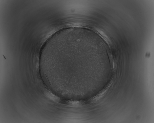 X0000089920301200707131416